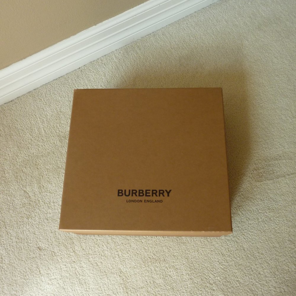 BURBERRY 'Evan' TB Monogram Logo Ankle-Strap Transparent Pumps (Brown) - 7B - Picture 3 of 15